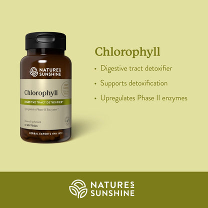 Nature's Sunshine Chlorophyll 60 Softgel Capsules – Digestion, Immunity & Detox Support
