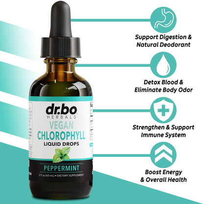 Chlorophyll Liquid Drops – Body Detox, Odor Cleanse & Immune Support | Vegan 2 oz