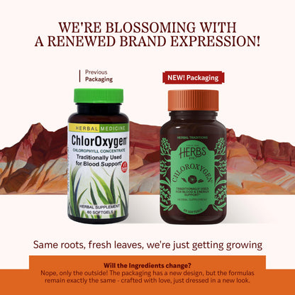 Herbs Etc. ChlorOxygen Chlorophyll Concentrate – Blood Circulation & Energy Support (60 Softgels)