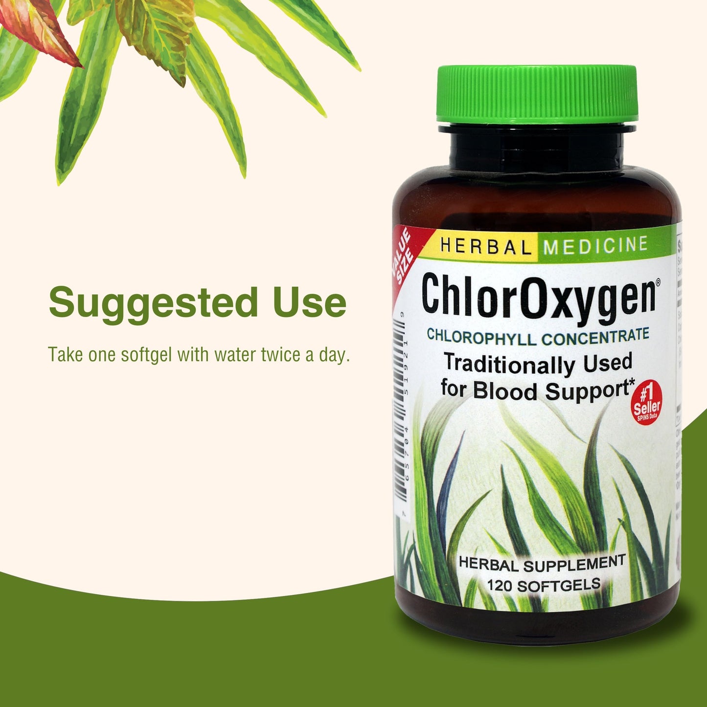 Herbs Etc. ChlorOxygen Chlorophyll Concentrate - 120 Softgels | Blood Health & Energy