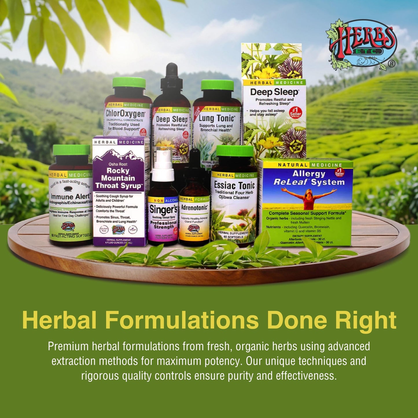 Herbs Etc. ChlorOxygen Chlorophyll Concentrate – Blood Circulation & Energy Support (60 Softgels)