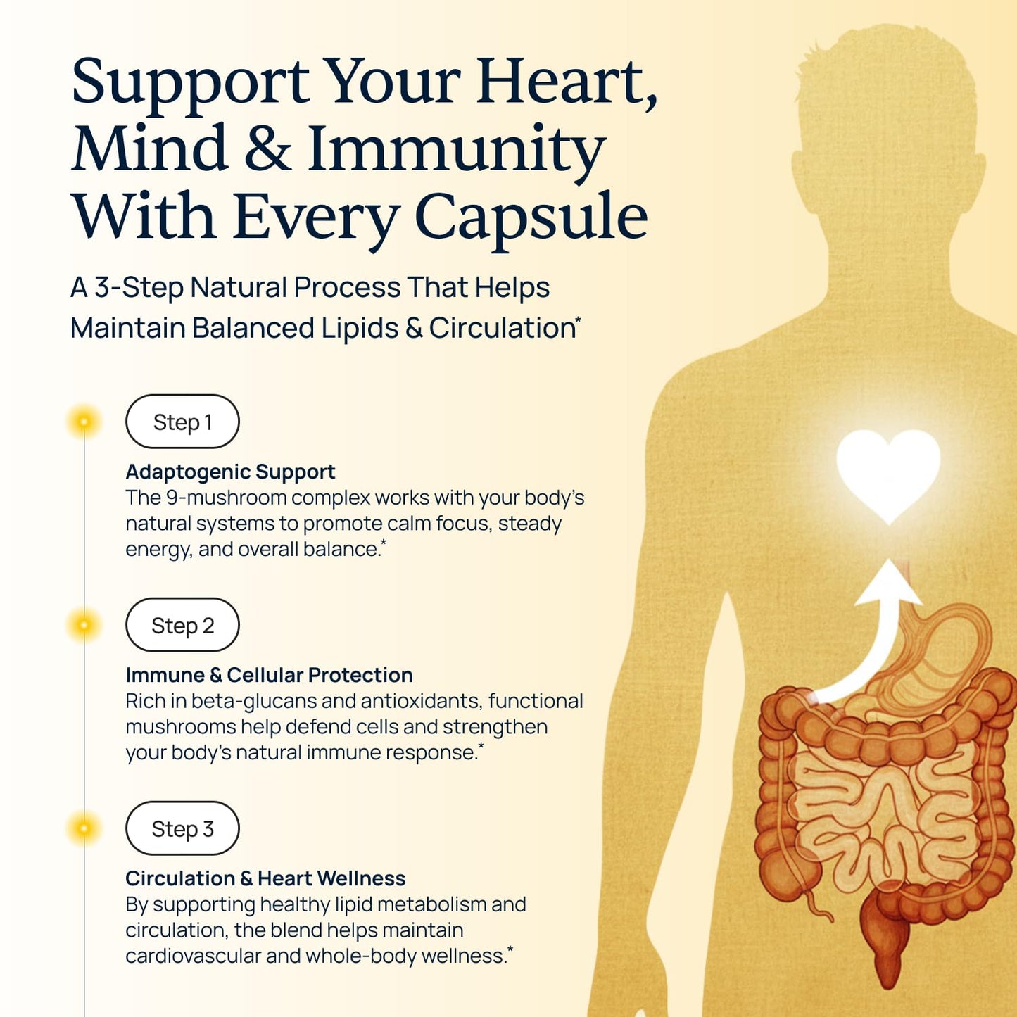 Cholibrium 9-in-1 Mushroom Complex Capsules – Immune Support, Focus & Heart Health
