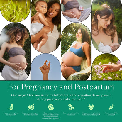 Prenatal Choline+ Liquid Capsules for Cognitive Development – Third-Party Tested (30 Caps)