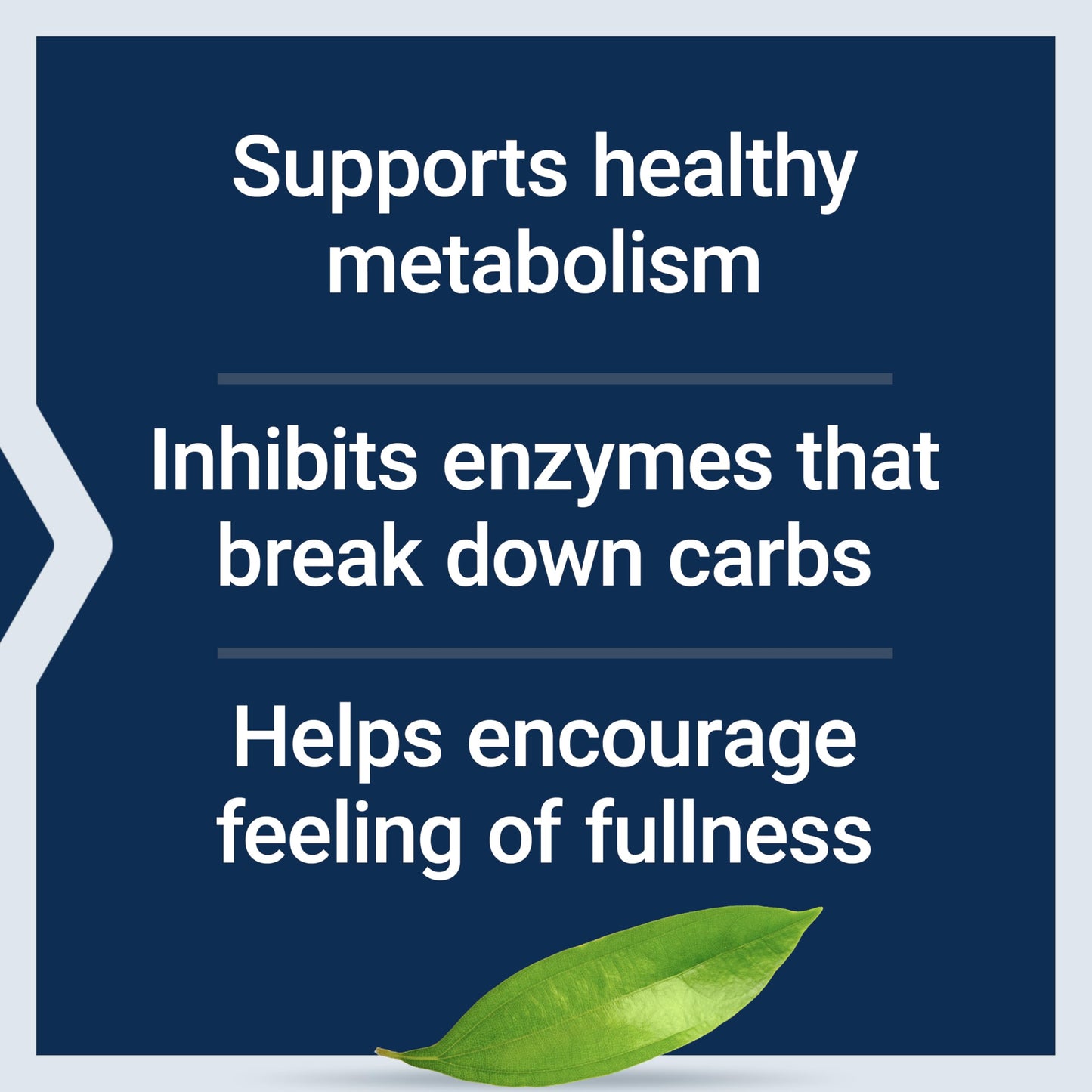 Life Extension CinSulin® with InSea2® & Crominex® 3+ – Metabolism & Satiety (90 Capsules)