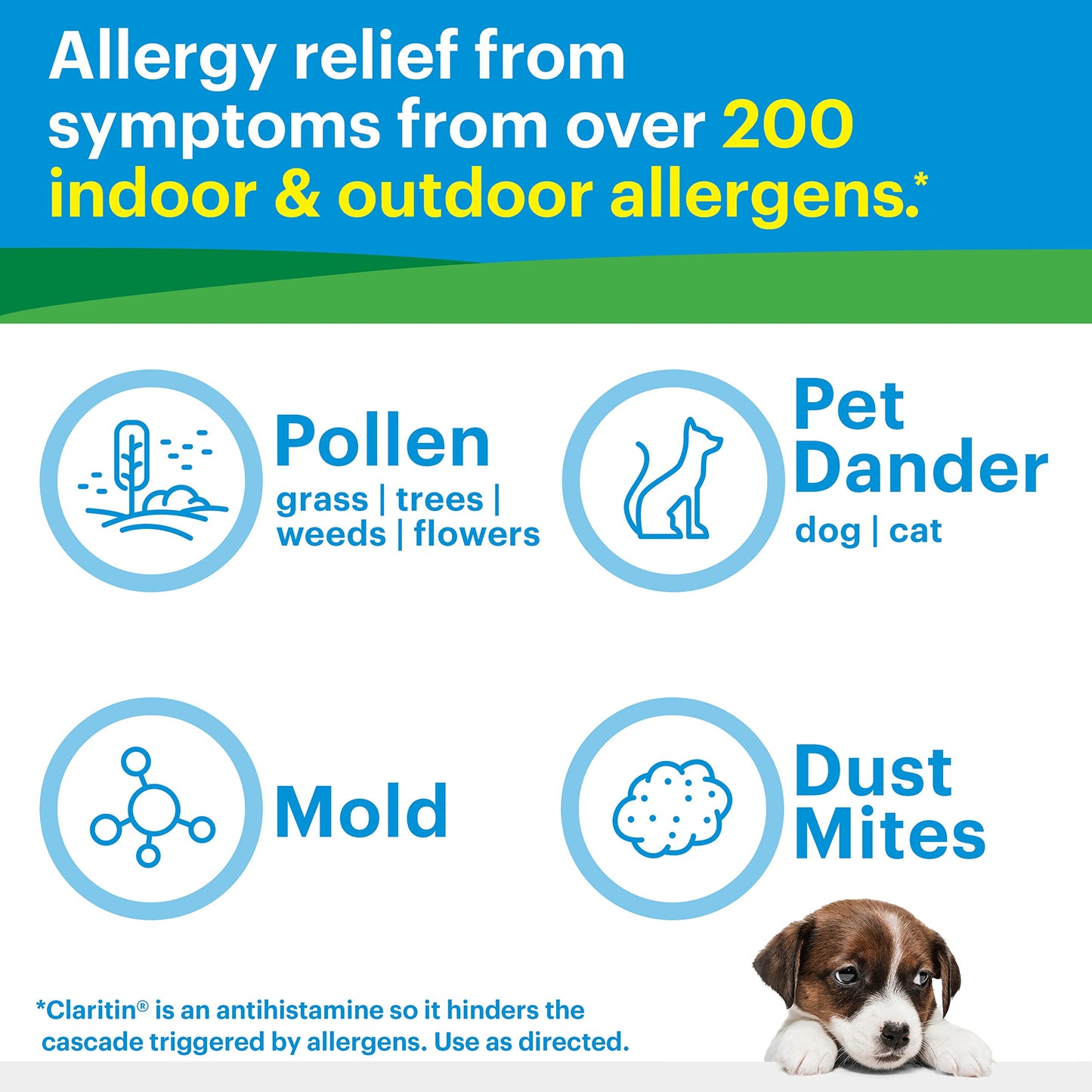 Claritin Liqui-Gels 24 Hour Allergy Relief | Non-Drowsy Loratadine Capsules, 30 Count