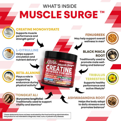 Clean Nutra Creatine Powder for Men – HMB, BCAA, L-Arginine & L-Citrulline | Preworkout