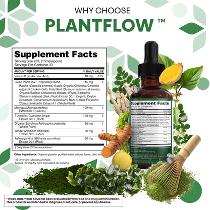 Clean Nutra Moringa Supplement Drops Ashwagandha Spirulina Chlorella Turmeric & Ginger Liquid Barley Grass with Chlorophyll Blue Green Algae Vitamin C Antioxidant Holy Basil Ceylon Cinnamon PlantFlow