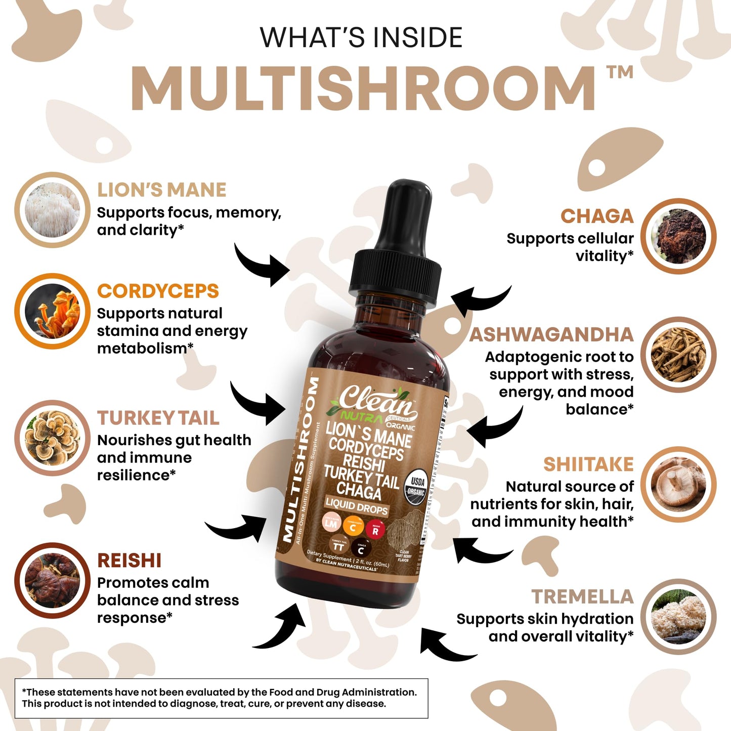 Clean Nutra Mushroom Liquid Drops | Lions Mane, Cordyceps, Reishi & Turkey Tail