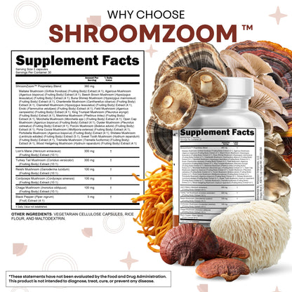 Clean Nutraceuticals 20-in-1 Mushroom Supplement – Lions Mane, Turkey Tail & More (1 Pack)