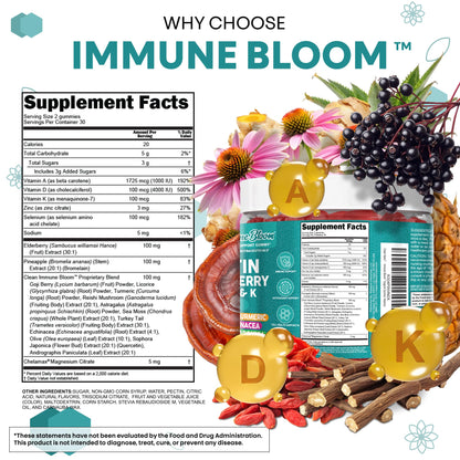 Clean Quercetin Elderberry Immune Gummies – Zinc, D3, K2, Sea Moss | Vegan Immunity Support