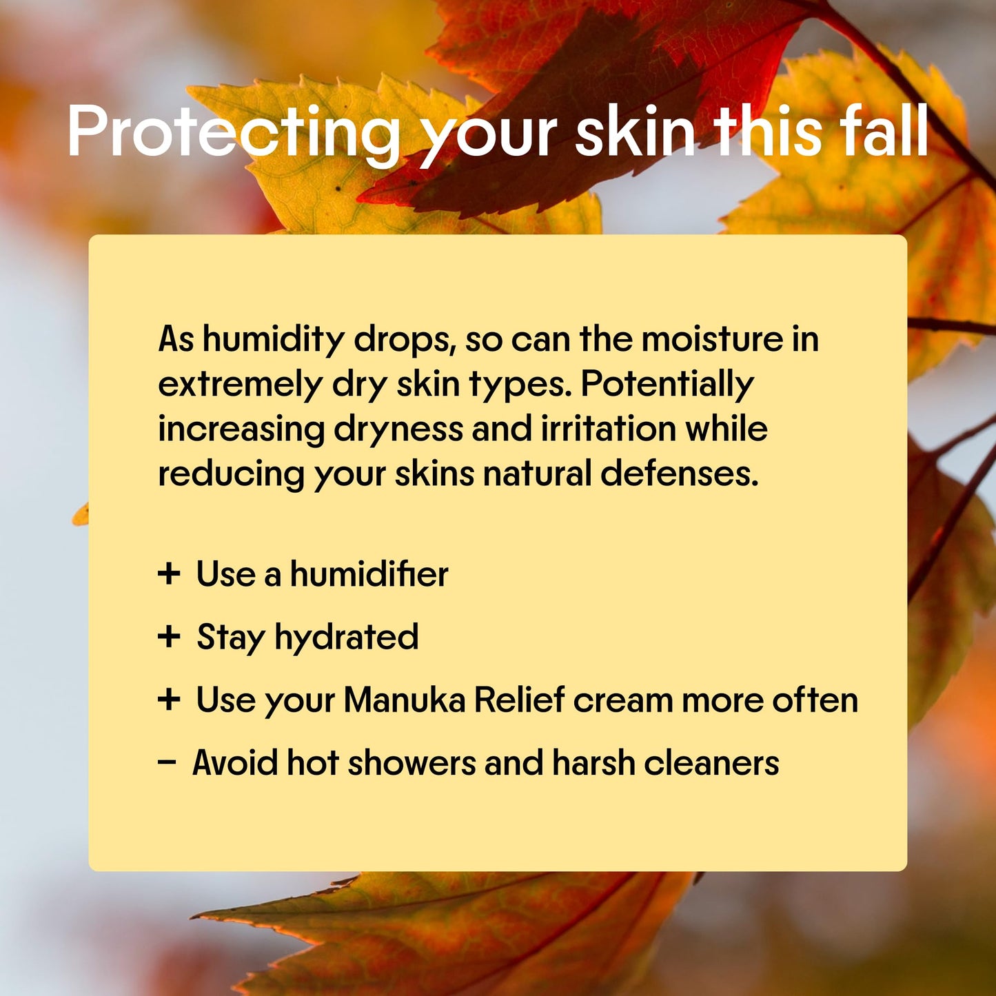 Clearbody Organics Manuka Honey Cream for Eczema & Dry Skin - Colloidal Oatmeal & Aloe - No Greasy Residue - 1 oz