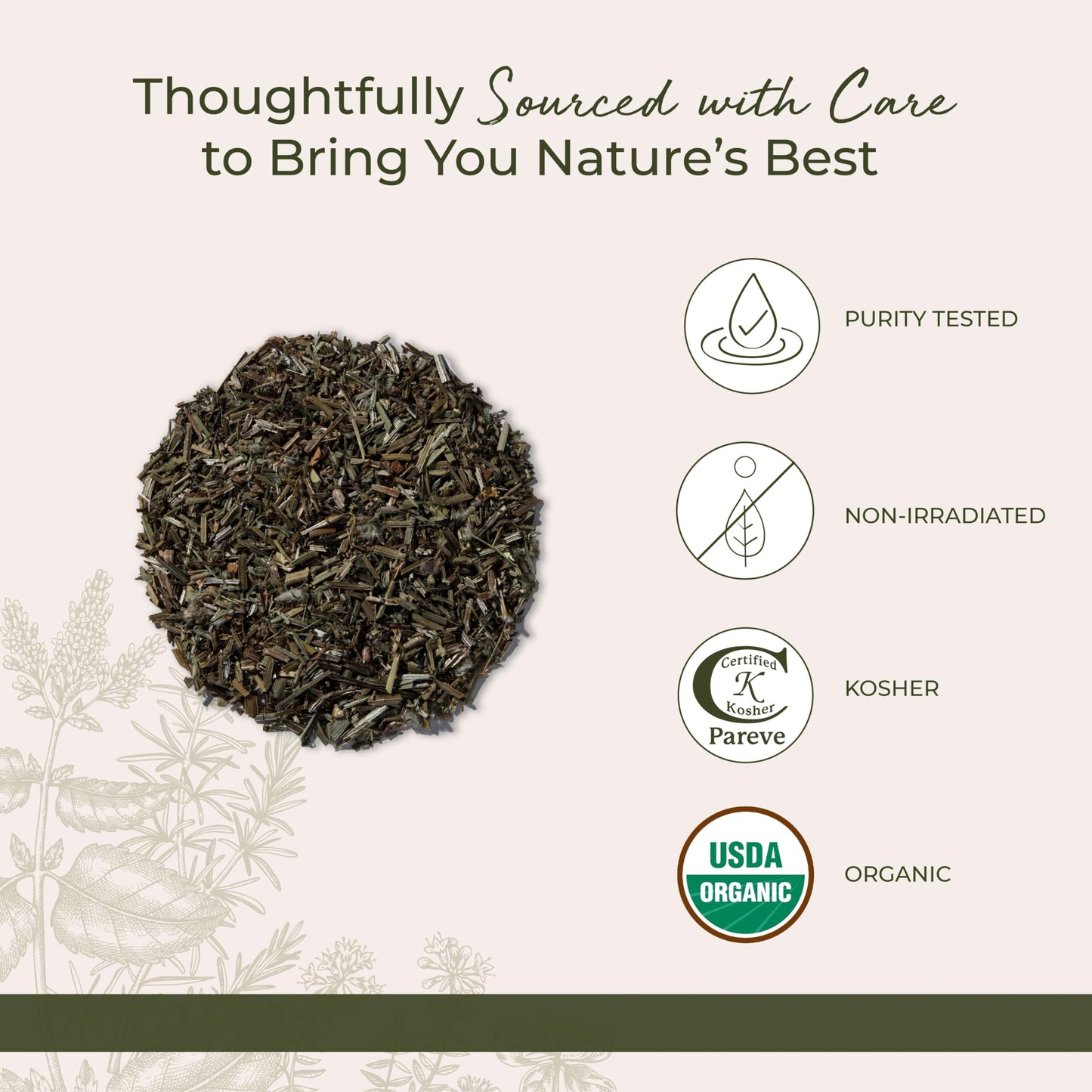 Starwest Botanicals Cleavers Herb Organic – Dried Loose Leaf, 1 lb Bulk, Kosher & Non-GMO