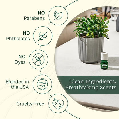 ClickWick Essential Oil Blends for Lifelines Diffusers — 4-Pack Discovery Set