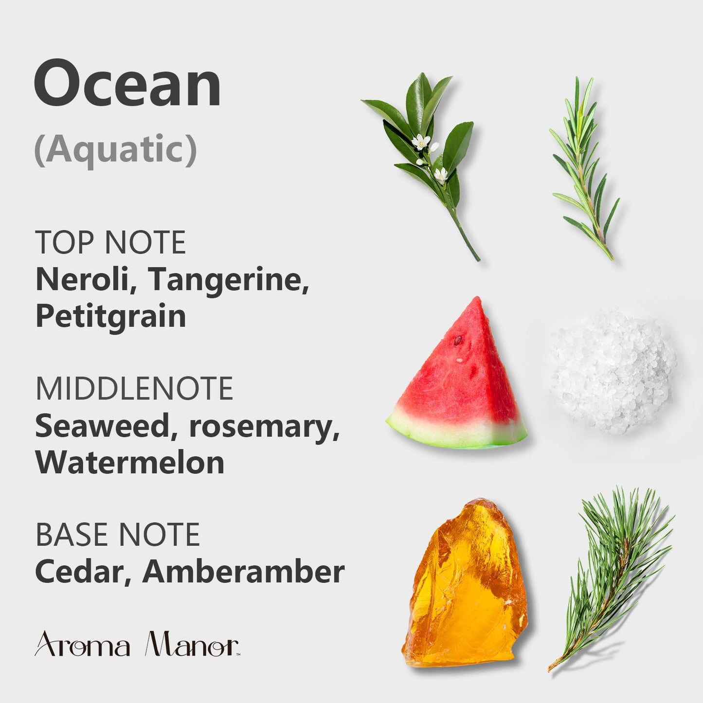 Aroma Diffuser Oil Ocean – Neroli, Watermelon & Amber (5.3 fl oz)