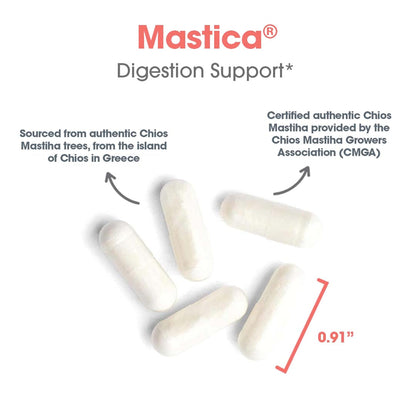 Allergy Research Group Mastica - 500 mg Mastic Gum Capsules for Digestive Support (120 Count)