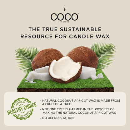 COCO by Stone 6.5oz Candle – Coconut Apricot Wax, Black Currant, Clean Burn, Hand-Poured, Vegan & Cruelty-Free