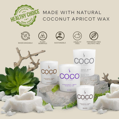 COCO by Stone 6.5oz Candle – Coconut Apricot Wax, Black Currant, Clean Burn, Hand-Poured, Vegan & Cruelty-Free