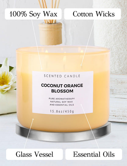 Coconut Orange Blossom 3-Wick Soy Candle – 15.8 oz | Long-Lasting Scent