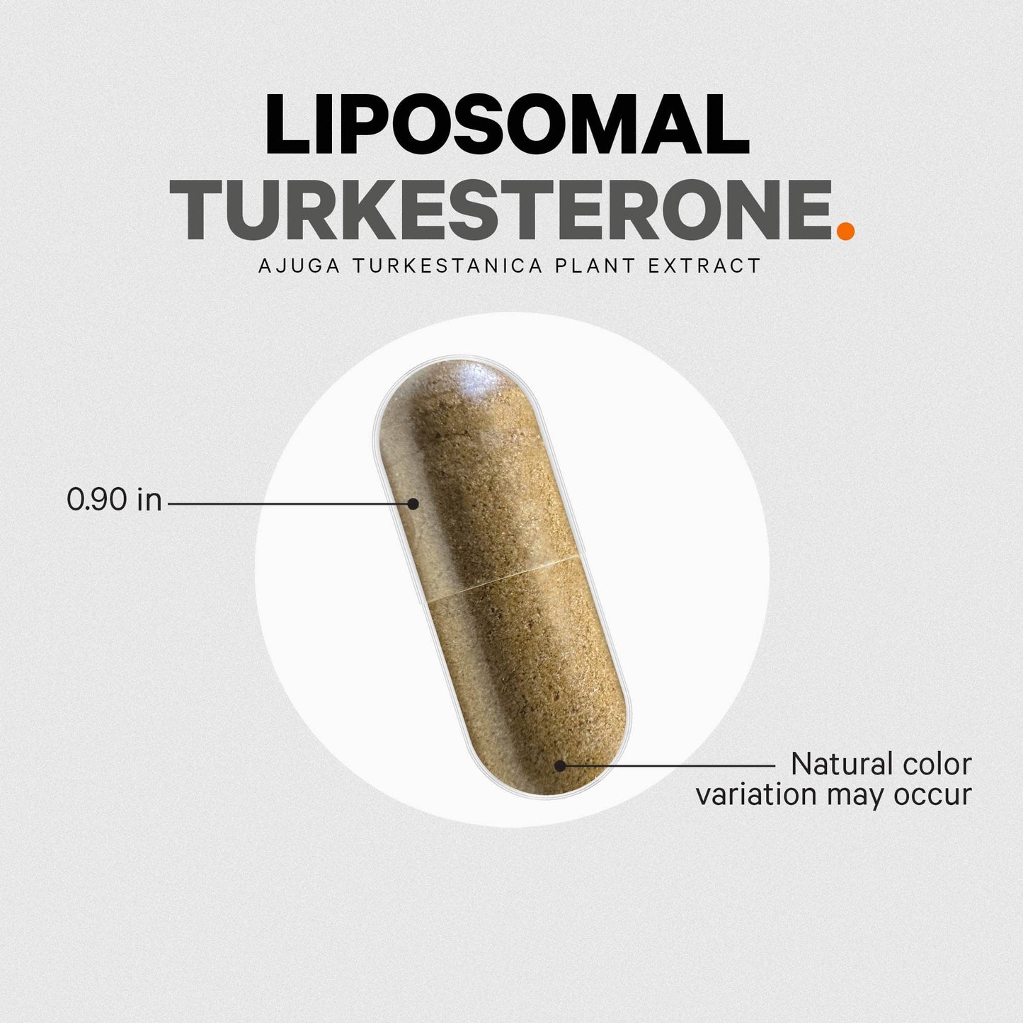 Codeage Liposomal Turkesterone Supplement - 120 Capsules, 4-Month Supply