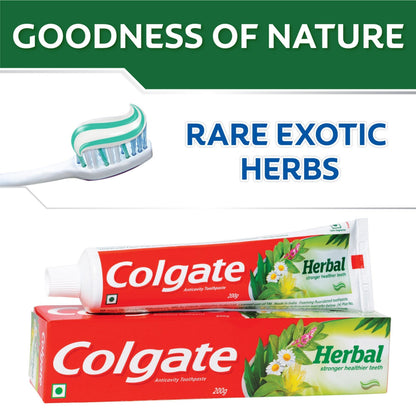 Colgate Anticavity Toothpaste Herbal - Cavity Protection with Herbal Blend