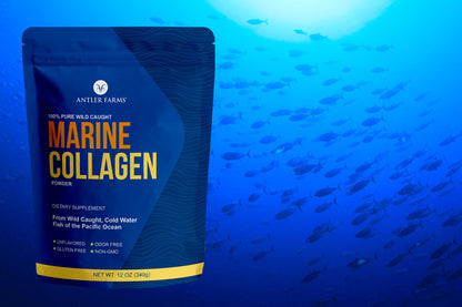 Antler Farms Marine Collagen Powder – 100% Pure, Wild-Caught Pacific Snapper, 12 oz