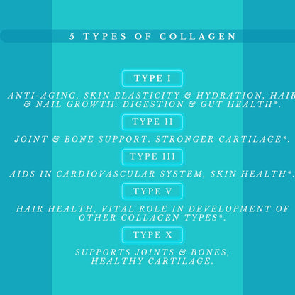 Multi Collagen Pills Plus 180 Capsules (Types I-V-X) + Absorption Enhancer – 3 Months Supply | Non-GMO
