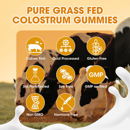 Sugar-Free Colostrum Gummies – Grass-Fed, 40% IgG, Orange, 60 Gummies