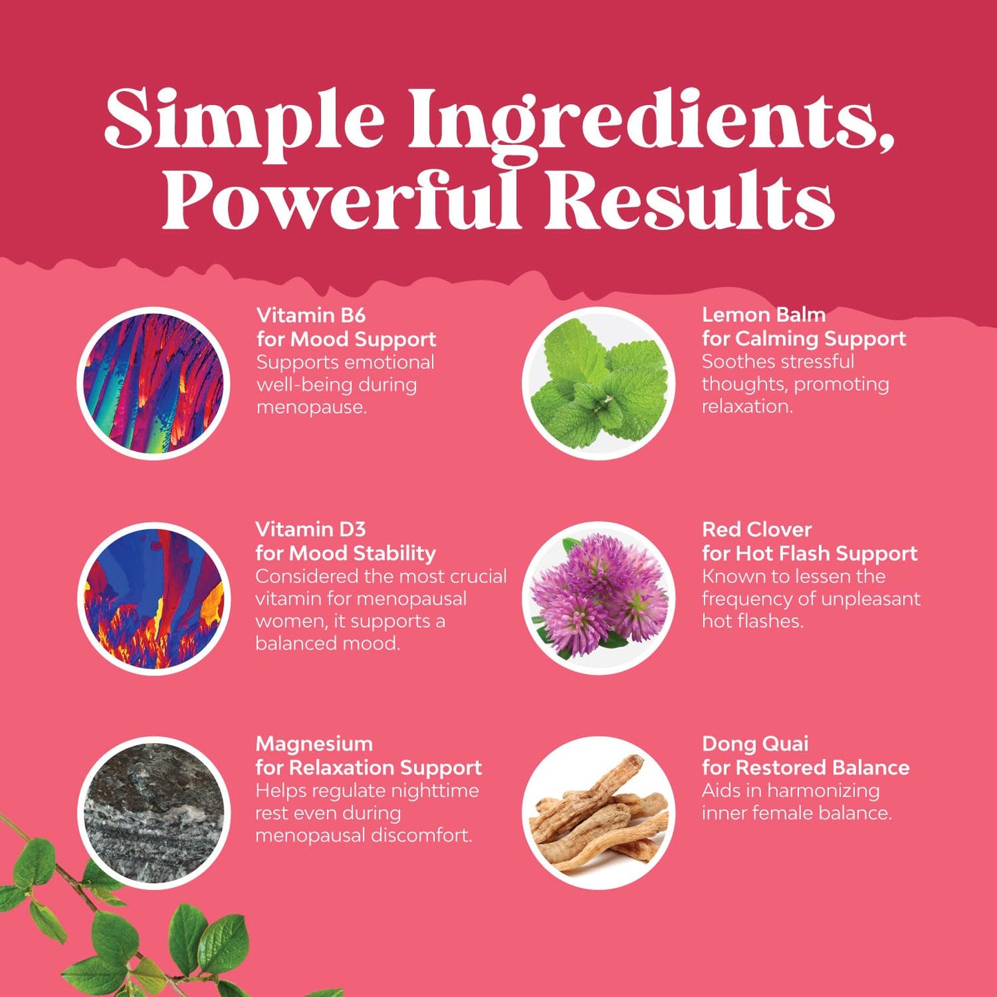Herbal Menopause Supplement for Women | Hormone Balance & Night Sweats 120 Count