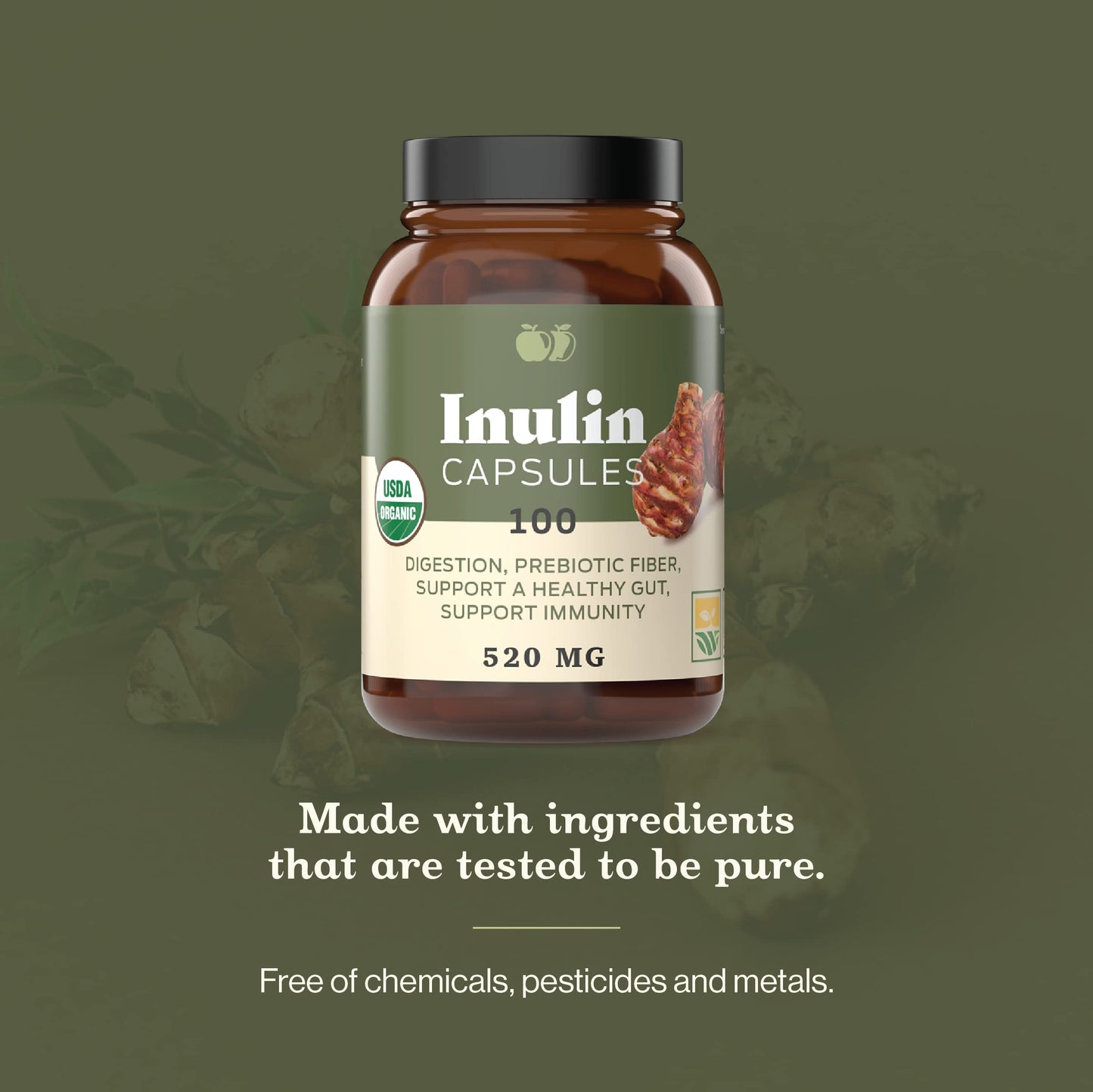 Complete Natural Products Organic Inulin Capsules – 520mg, 100 Pills, Organic Jerusalem Artichoke Inulin, Pack of 2