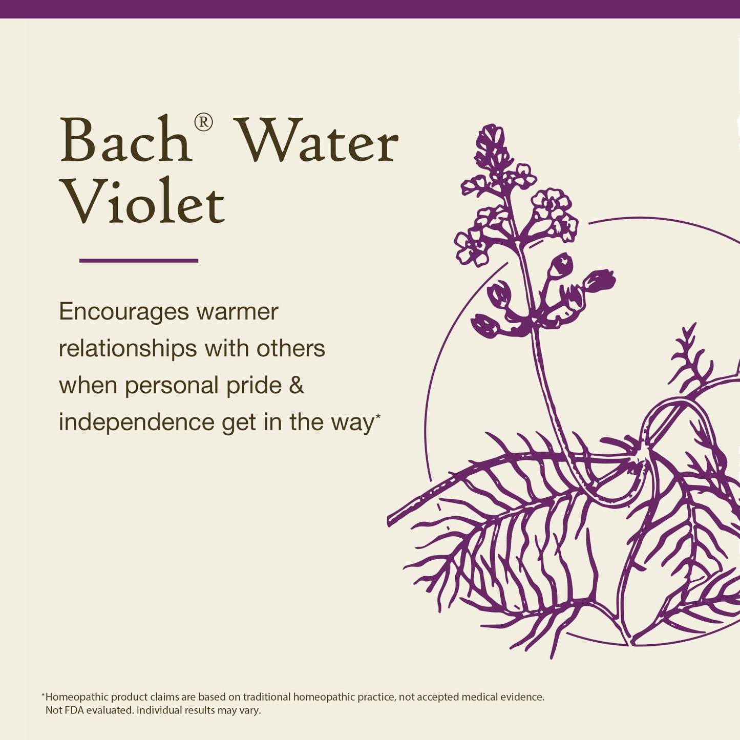 Bach Water Violet Flower Remedy – Connect with Others | 20mL Dropper