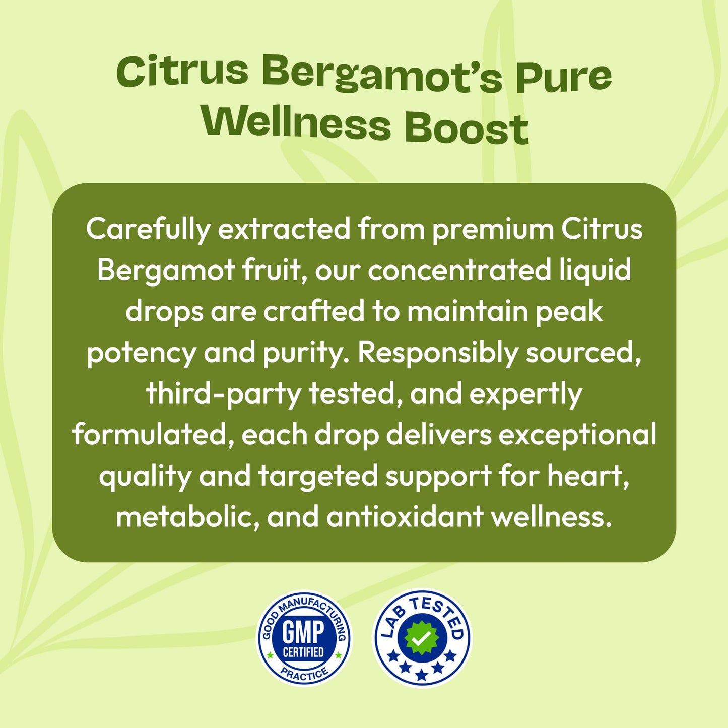 Citrus Bergamot Extract 25:1 Liquid Drops – Vegan & Gluten-Free | Heart Wellness & Metabolic Support