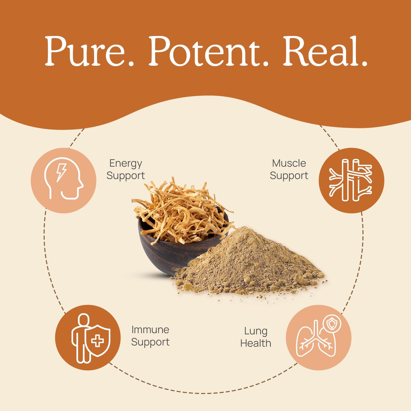 Cordyceps Capsules | Real Mushrooms 8% Beta-Glucans | Vegan & Non-GMO | 120 ct