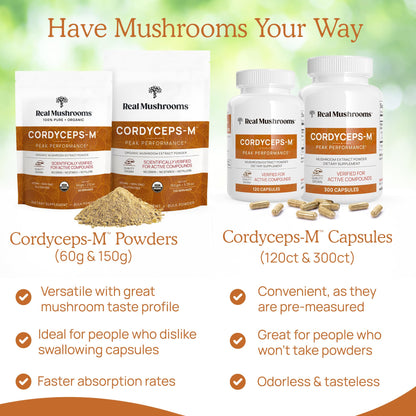Real Mushrooms Cordyceps Mushroom Powder – Organic Cordyceps Mushroom Powder, Beta Glucans, Non-GMO, Vegan, 60 Servings