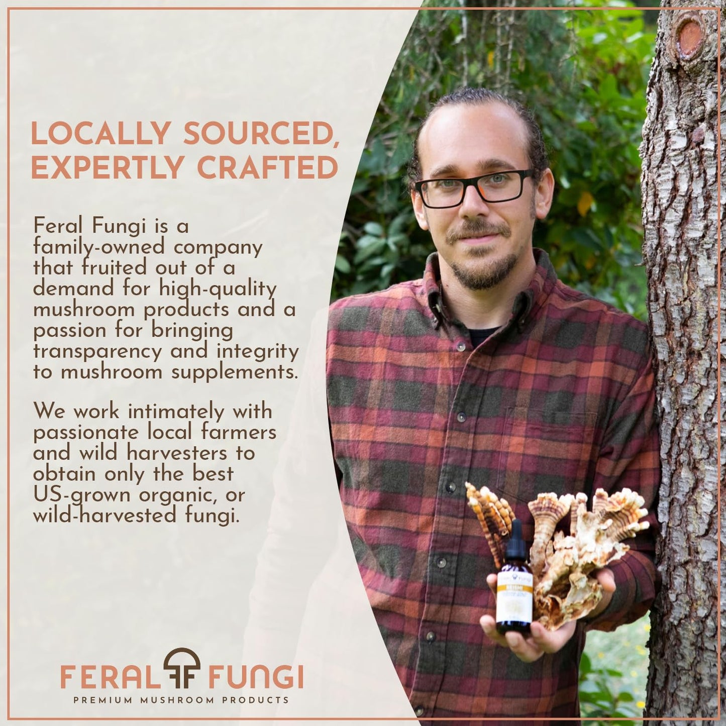 Feral Fungi Cordyceps Tincture – 100% Pure Mushroom Extract (USA Grown) 1 oz