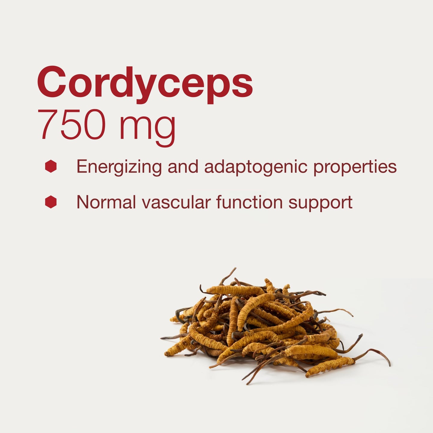 Protocol Cordyceps 750mg – Immune Support & Vascular Health | Non-GMO | 90 Veg Caps