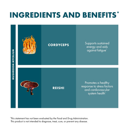 Host Defense CordyChi Capsules – Cordyceps & Reishi for Energy & Immune Support | 120 Capsules