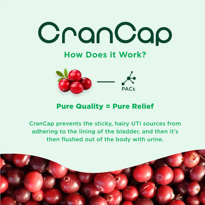 CranCap Cranberry Pills – Urinary Tract Health, 36mg PACs | Heale