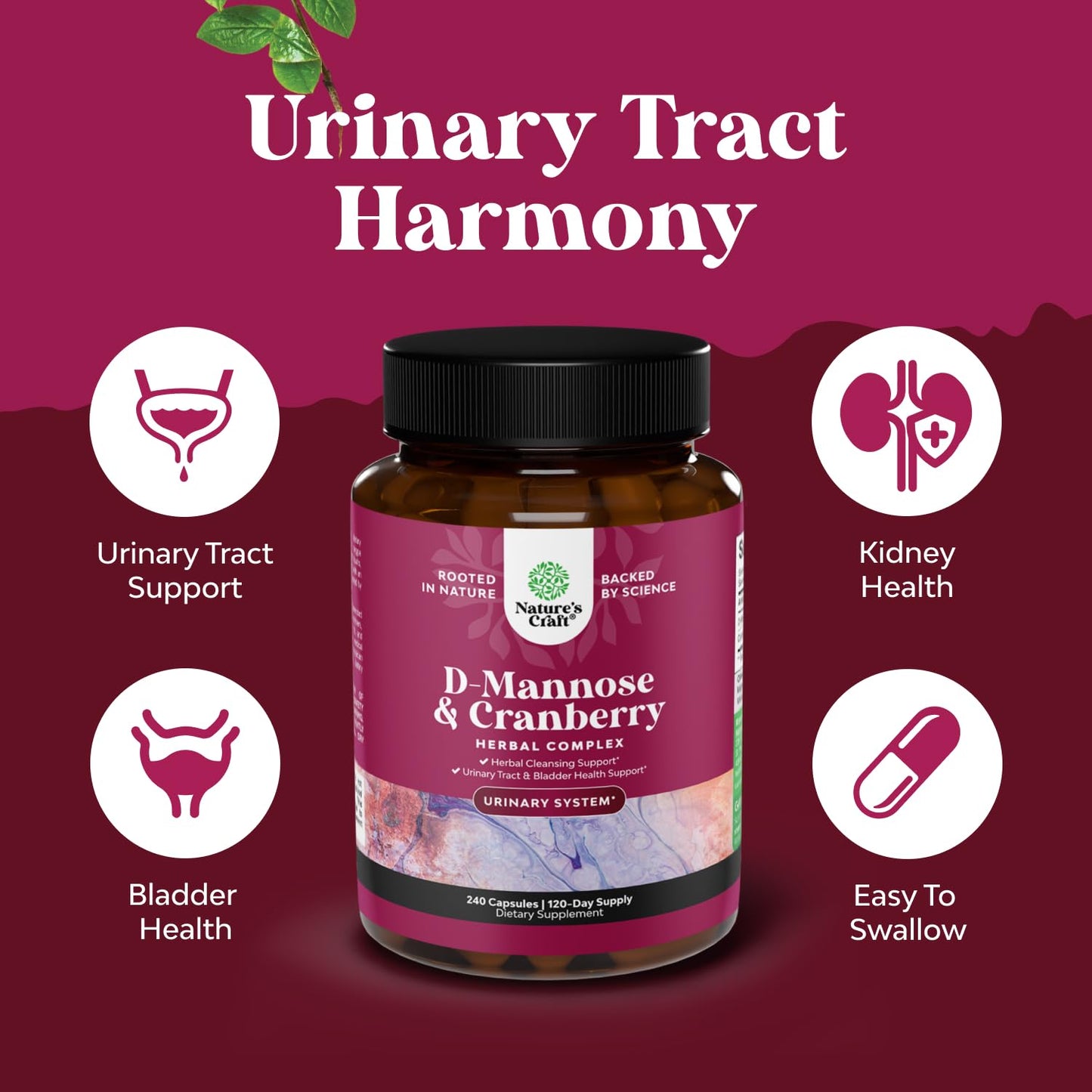D Mannose with Cranberry 1000mg – Urinary Health & Kidney Support (240 Count)
