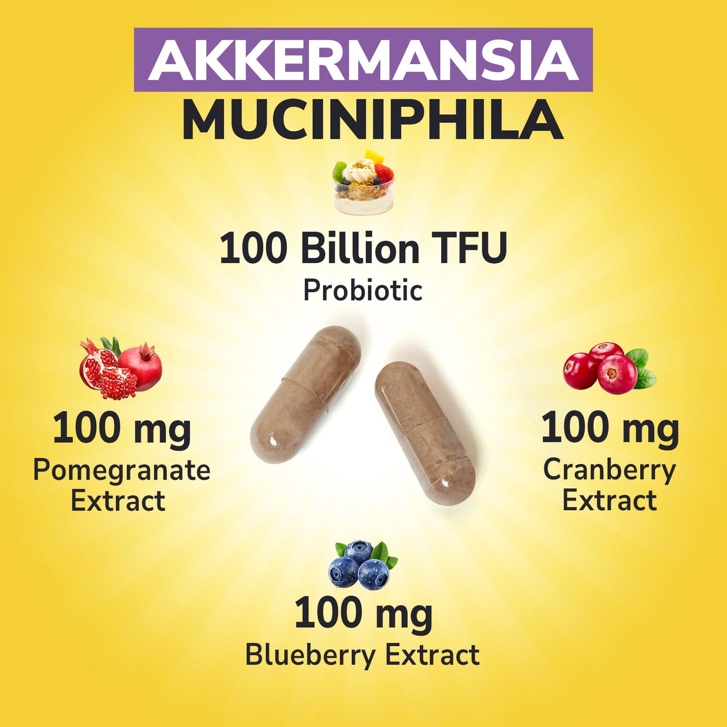Vitalibre Akkermansia Probiotics 100B TFU - Pasteurized Muciniphila + Cranberry