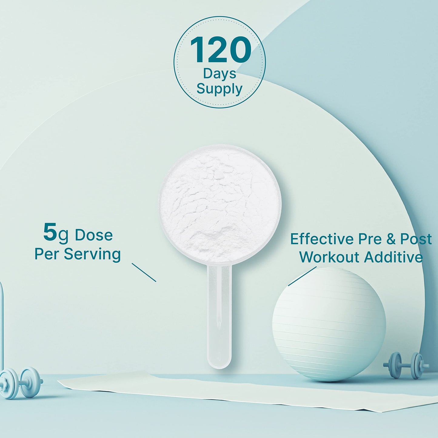 Instant Creatine Monohydrate Powder – 5g Serving, 120 Servings | Micronized, Unflavored, Fast Absorbing