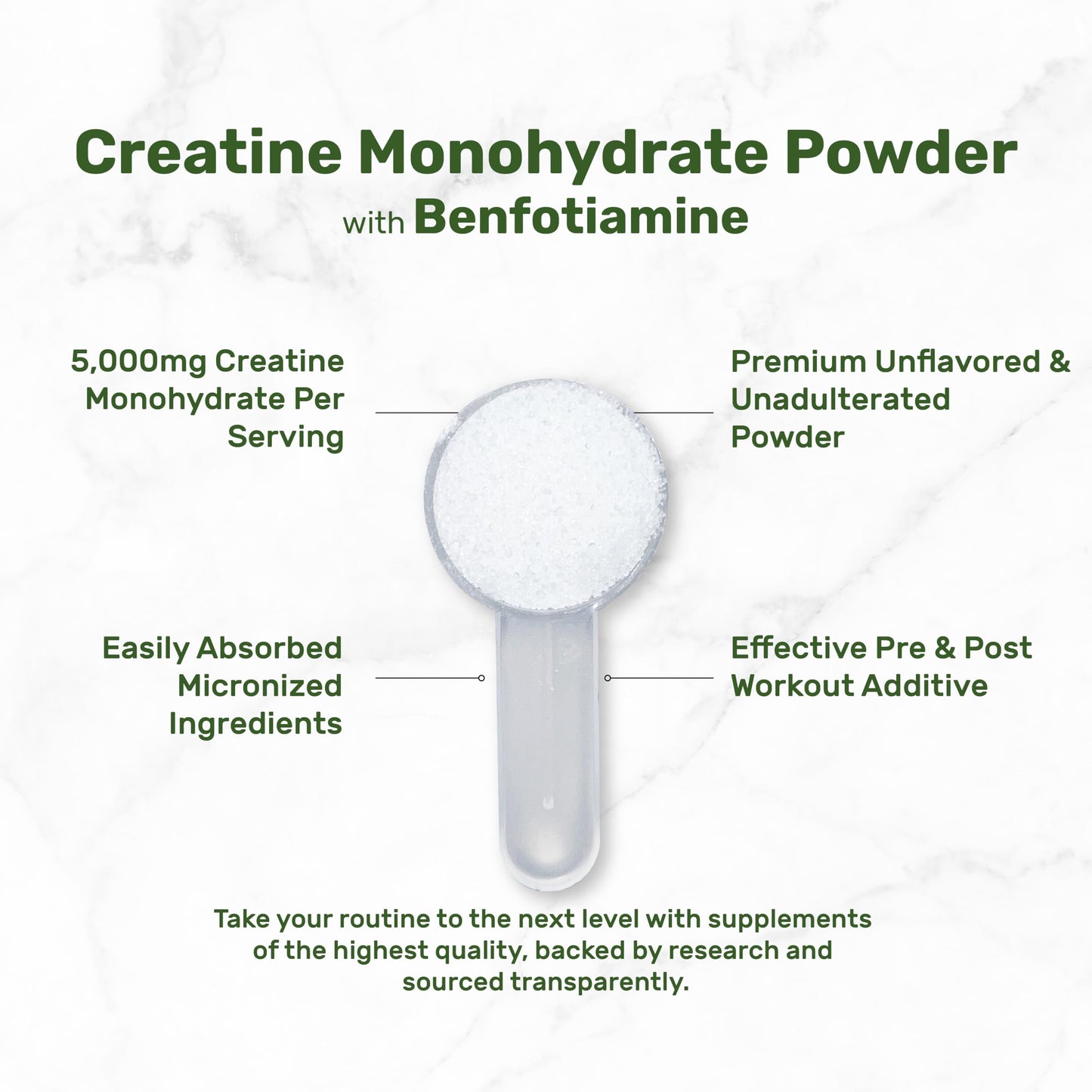 Instant Creatine Monohydrate Powder, 5g Per Serving – 240 Servings | Micronized, Unflavored, Fast Absorbing Formula | Supports Strength, Power, & High-Intensity Training* | Vegan, Keto, Non-GMO