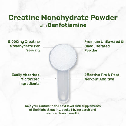 Instant Creatine Monohydrate Powder, 5g Per Serving – 240 Servings | Micronized, Unflavored, Fast Absorbing Formula | Supports Strength, Power, & High-Intensity Training* | Vegan, Keto, Non-GMO