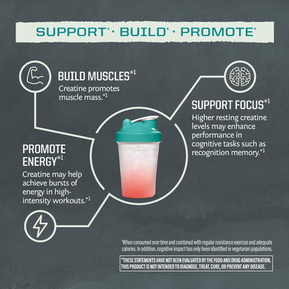Creatine Monohydrate Powder – Micronized, Vegan & Keto | 30 Servings