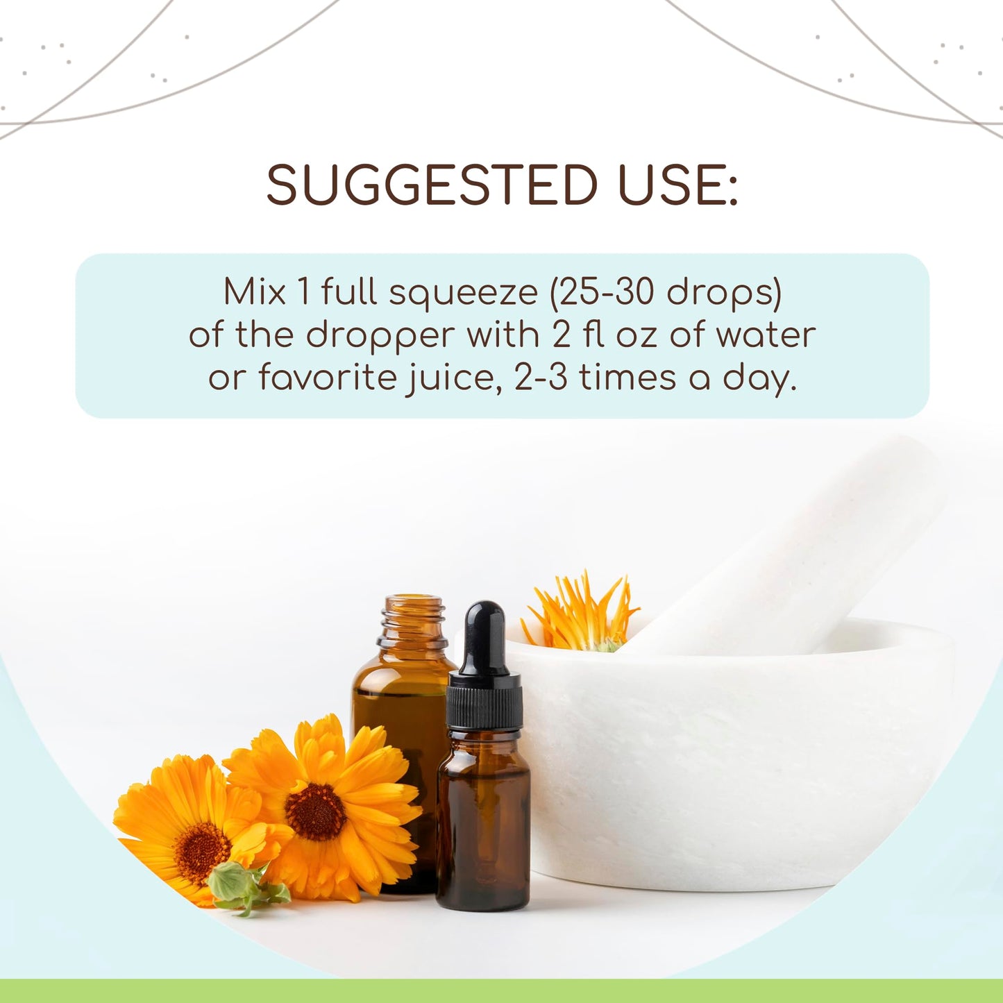 Cryptolepis Alcohol Herbal Extract Tincture 4 Oz – Super-Concentrated Wildcrafted Cryptolepis Sanguinolenta