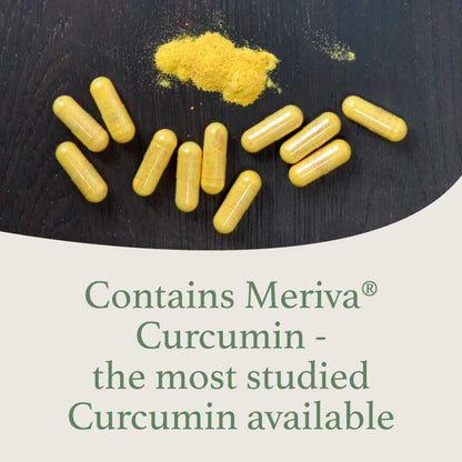 CurcuminX4000 with Fenugreek – Meriva Curcumin Phytosome Herbal Supplement (Refill Pouch)