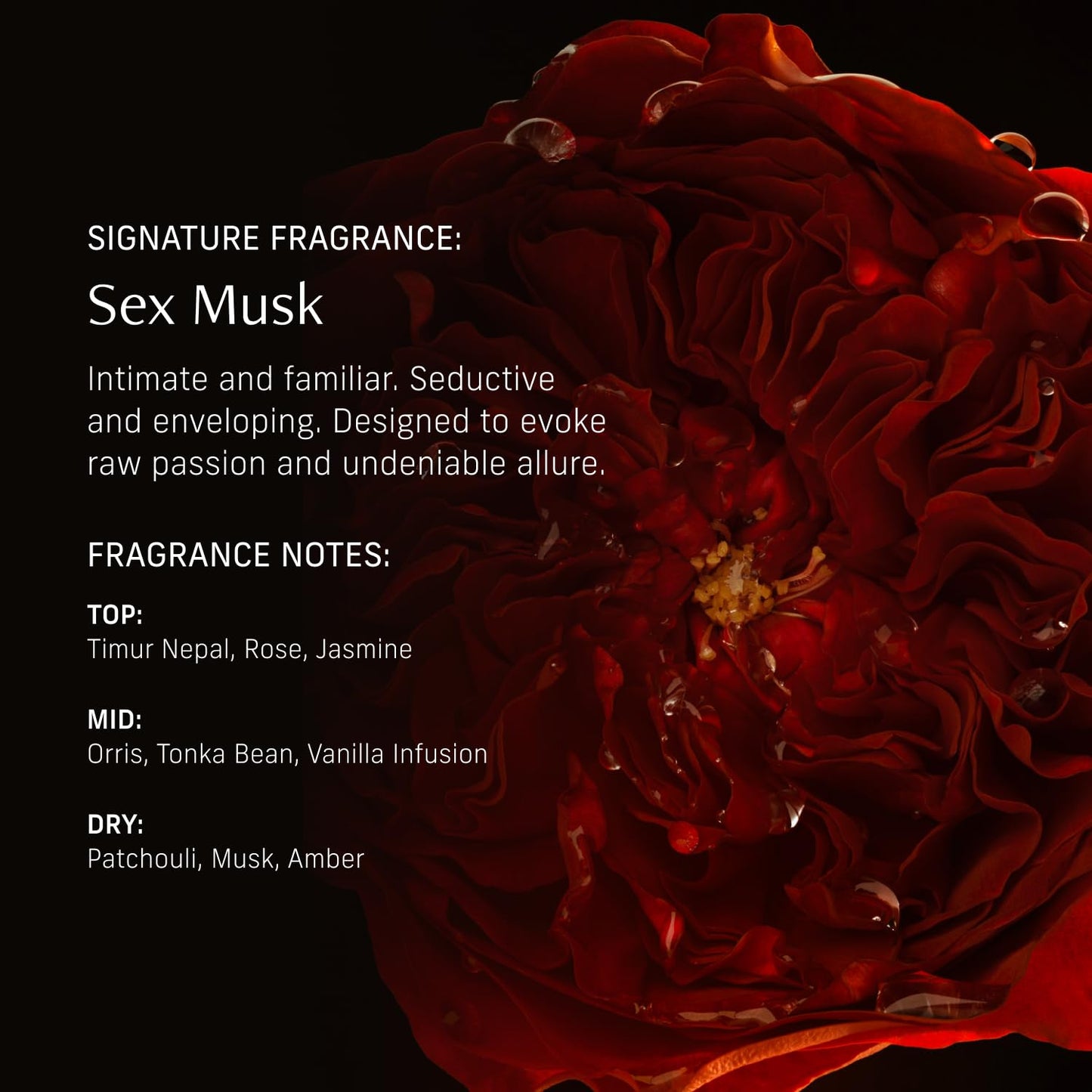 CYKLAR Perfume Oil Roll-On – Sex Musk Scent with Rose, Tonka Bean & Musk | 0.5 oz