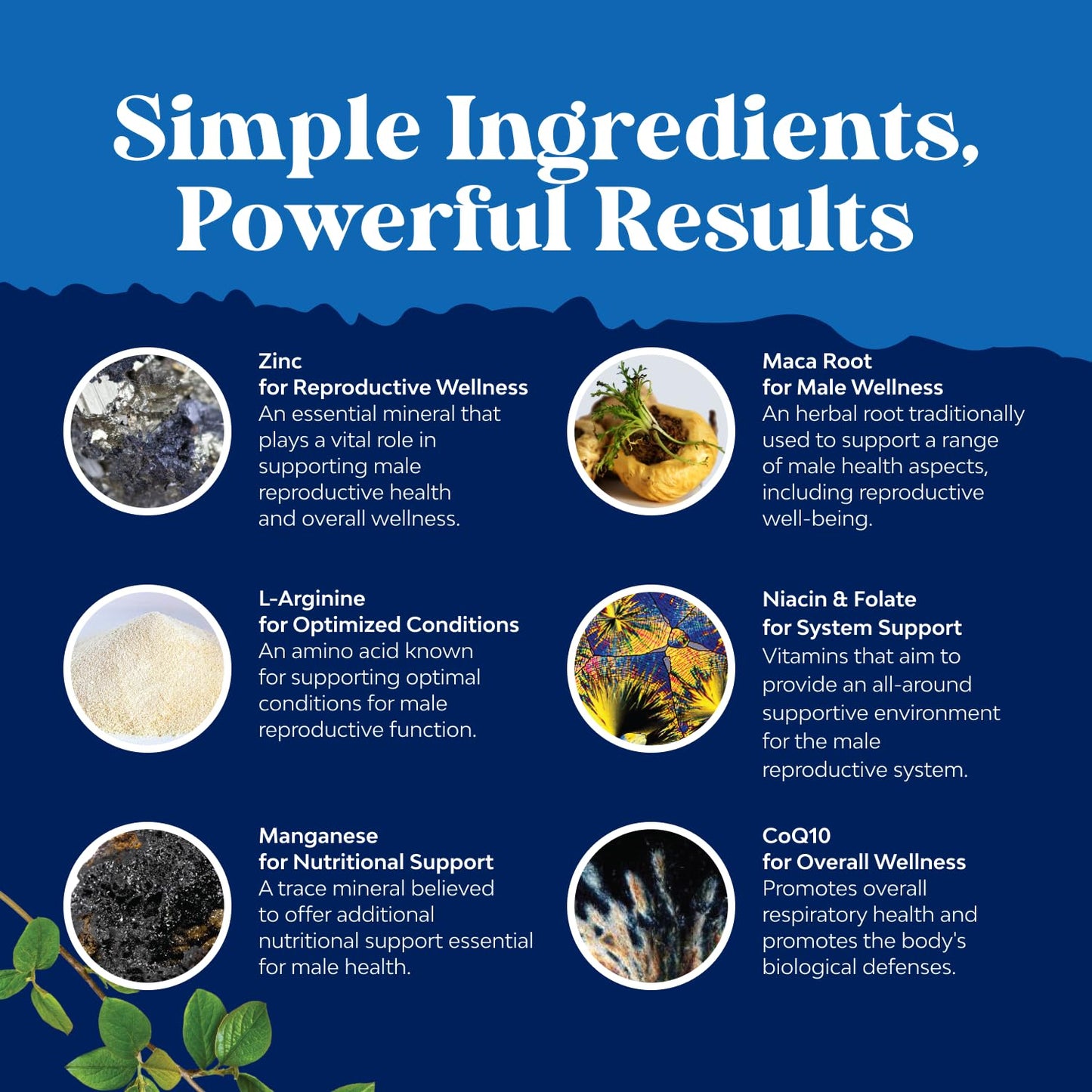 Pre-Conception Male Fertility Supplement | Sperm Motility & Volume Booster
