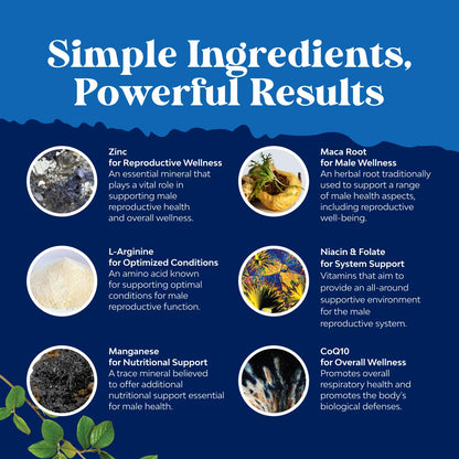 Pre-Conception Male Fertility Supplement | Sperm Motility & Volume Booster