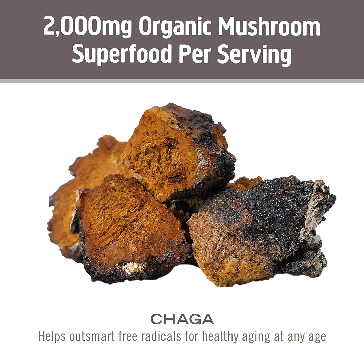 Om Mushroom Superfood Chaga Capsules | Immune Support, 90 Count