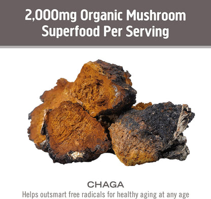 Om Mushroom Superfood Chaga Capsules | Immune Support, 90 Count